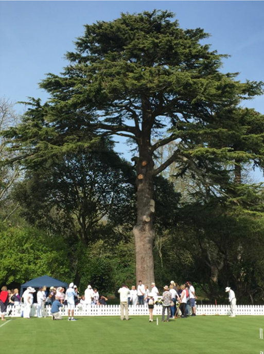 NewBridge House Croquet Club 